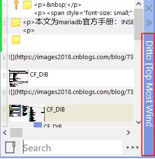 Ditto剪贴板管理工具怎么用?Ditto剪贴板管理工具使用方法