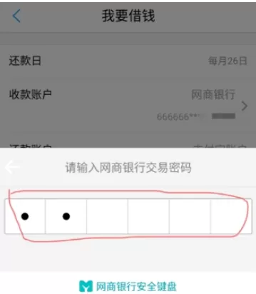 在网商银行中进行借款的详细步骤