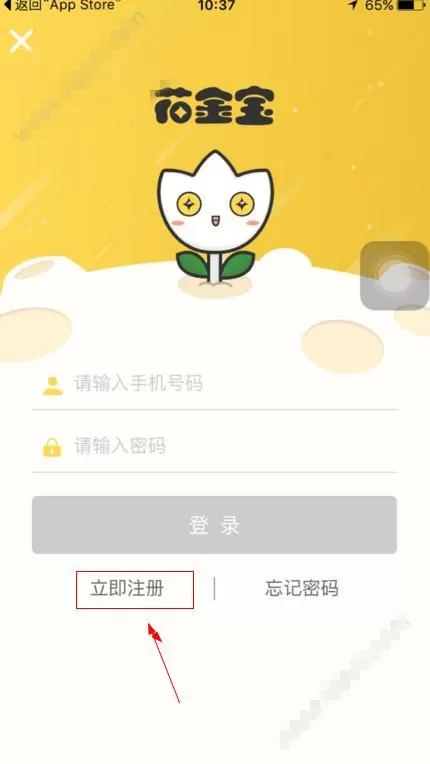 花金宝注册的步骤讲解