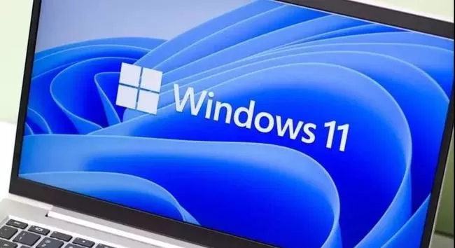 Windows11预览体验计划无法选择渠道怎么办?Windows11预览体验计划无法选择渠道解决办法