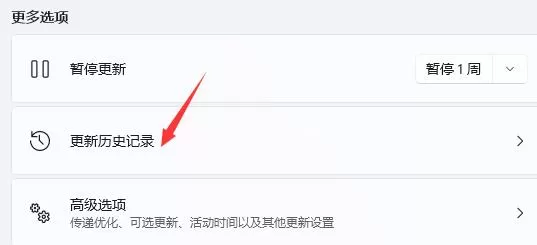 Win11更新后出现闪屏怎么办?Win11更新后闪屏解决办法