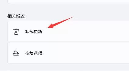 Win11更新后出现闪屏怎么办?Win11更新后闪屏解决办法