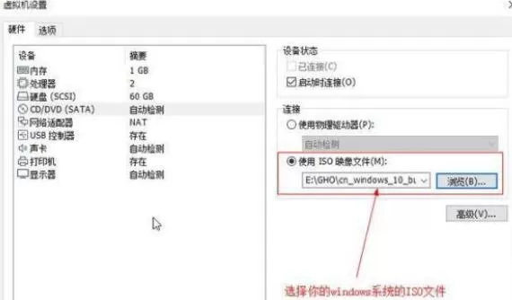 Win11系统怎么在vm上安装?Win11系统怎么在vm上安装方法