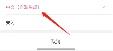 哔哩哔哩短视频怎么开启字幕?哔哩哔哩短视频开启字幕方法