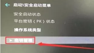 升级Win11提示必须支持安全启动怎么办?升级Win11提示必须支持安全启动解决方法