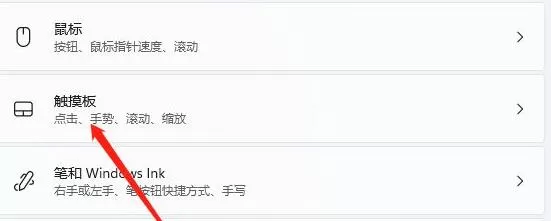 Win11如何关闭触控板?Win11关闭触控板的方法