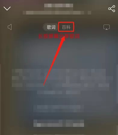 网易云音乐怎么查看曲风?网易云音乐查看曲风方法