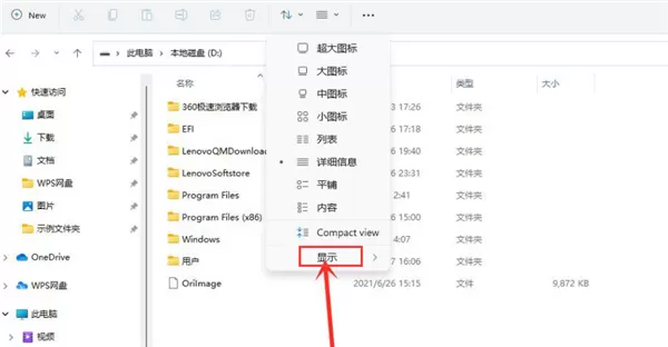 Win11怎么查看隐藏项目?Win11查看隐藏项目方法