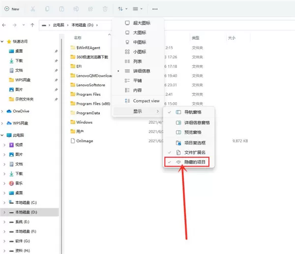 Win11怎么查看隐藏项目?Win11查看隐藏项目方法