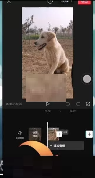 剪映怎么设置贴纸跟随?剪映贴纸跟随设置教程