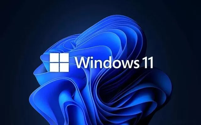 Win11有多少个版本?Win11版本区别对比介绍