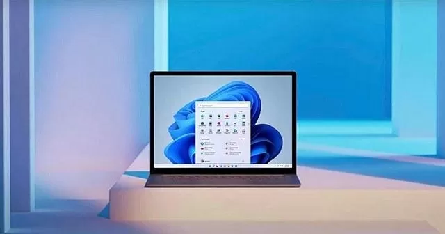 Win11有多少个版本?Win11版本区别对比介绍