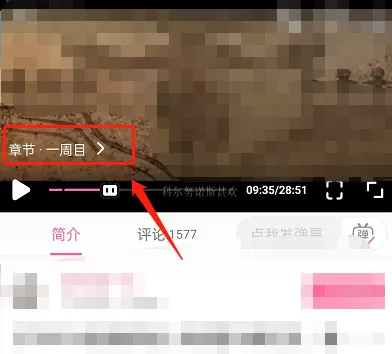 哔哩哔哩怎么选择章节播放?哔哩哔哩选择章节播放方法
