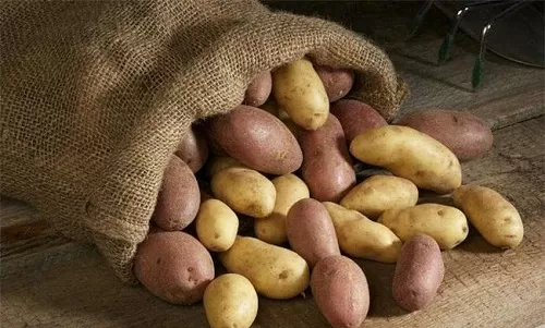 想延长土豆的保存期怎样存放更合适?支付宝蚂蚁庄园8月10日答案