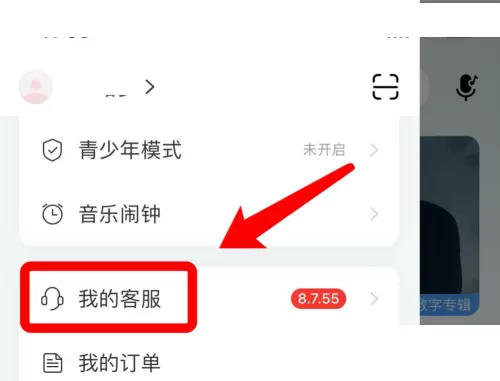网易云音乐怎么实名认证?网易云音乐实名认证教程