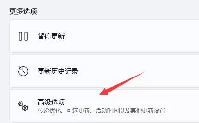 win11玩不了地平线4怎么办?win11玩不了地平线4的处理方法