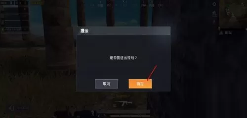 和平精英如何进行观战?和平精英进行观战的具体操作
