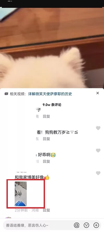 抖音评论区表情包怎么保存到相册?抖音评论区表情包保存到相册教程