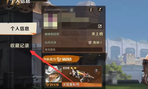 合金弹头收藏记录在哪里?合金弹头找到收藏记录的方法