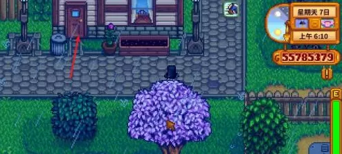 星露谷物语如何获得衣服?星露谷物语获得衣服的详细攻略