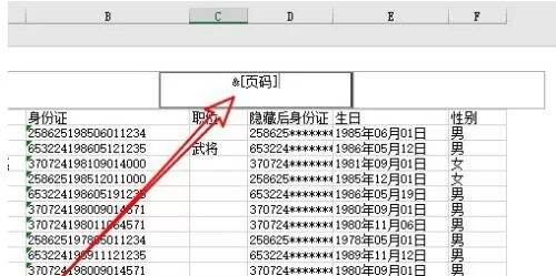 excel2019怎样给表格加页码?excel2019给表格加页码的方法