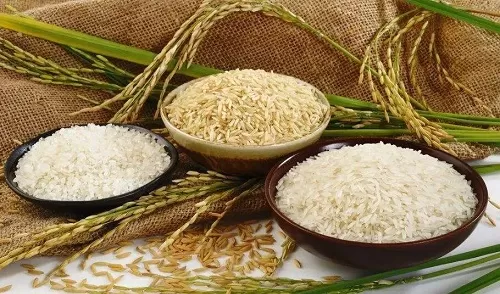 民间有小暑食新的习俗,是指?支付宝蚂蚁庄园7月7日答案