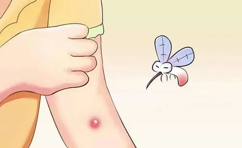孕妇和宝宝更容易招蚊子,真是这样吗?支付宝蚂蚁庄园7月6日答案