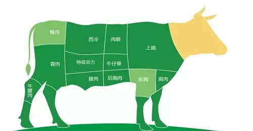 小鸡宝宝考考你,美味的肉眼牛排其实是牛什么部位的肉?支付宝蚂蚁庄园7月5日答案