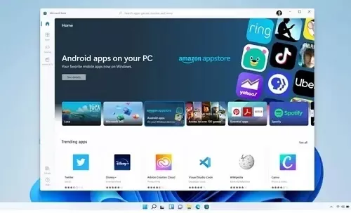 Win10升级Win11绿屏错误代码invalid_data_access_trap怎么回事?