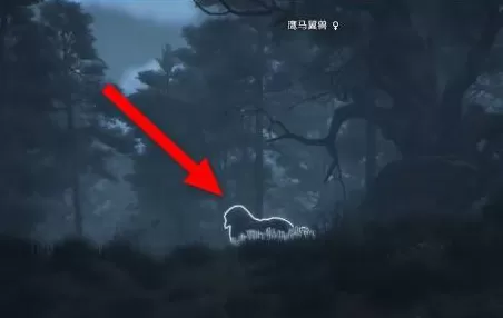 霍格沃茨之遗如何抓动物?霍格沃茨之遗抓动物的玩法攻略