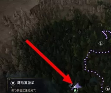 霍格沃茨之遗如何抓动物?霍格沃茨之遗抓动物的玩法攻略
