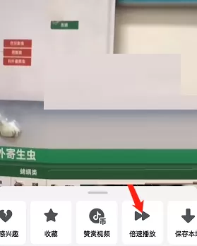 抖音怎么二倍速播放视频?抖音二倍速播放视频方法