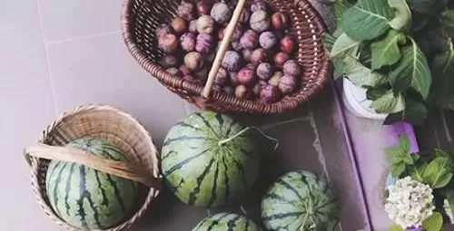 猜一猜,浮甘瓜于清泉,沉朱李于寒水,描述的是什么场面?支付宝蚂蚁庄园6月28日答案