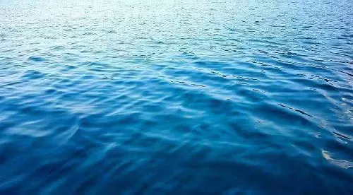 人不能直接喝海水,主要因为?支付宝蚂蚁庄园6月27日答案
