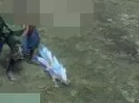 怪物猎人崛起环境生物大全 怪物猎人崛起环境生物有哪些?