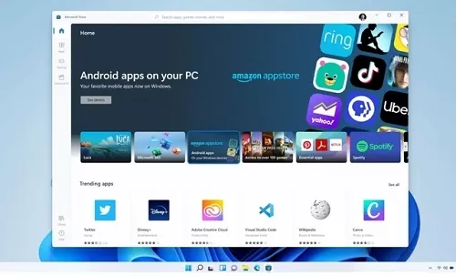 Win11安装版本选择哪个好?win11安装版本推荐分享