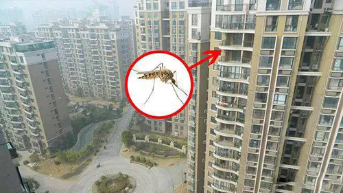 夏天蚊子让人烦恼,是不是住在高层就没蚊子了?支付宝蚂蚁庄园6月24日答案