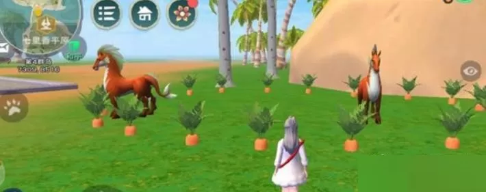 创造与魔法胡萝卜圈在哪里?创造与魔法胡萝卜圈位置介绍