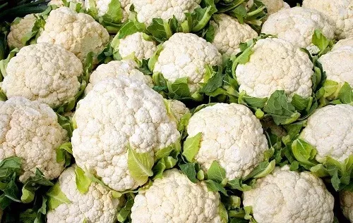 人们平时吃的花椰菜,主要食用的是它的哪个部分?支付宝蚂蚁庄园6月22日答案