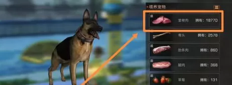 明日之后如何喂养宠物?明日之后喂养宠物的方法
