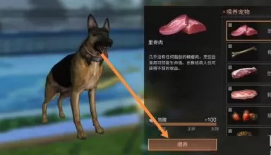 明日之后如何喂养宠物?明日之后喂养宠物的方法