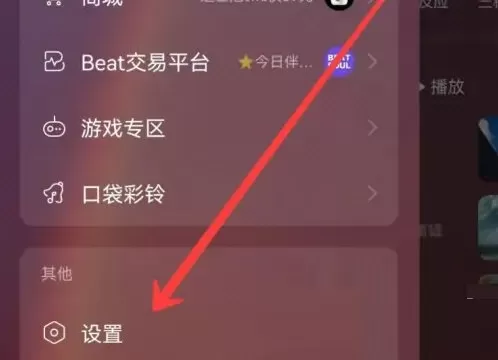 网易云音乐怎么开启流量播放?网易云音乐开启流量播放方法