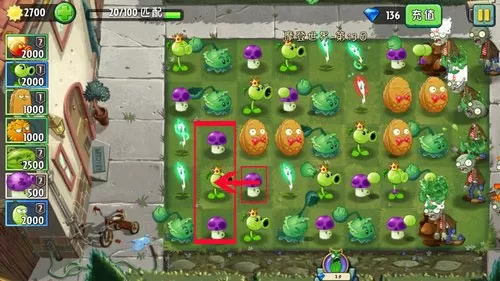 植物大战僵尸2摩登世界第13天怎么过?植物大战僵尸2摩登世界第13天通关攻略