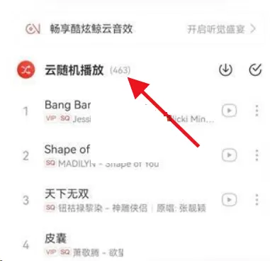 网易云音乐云随机怎么关闭?网易云音乐云随机关闭教程