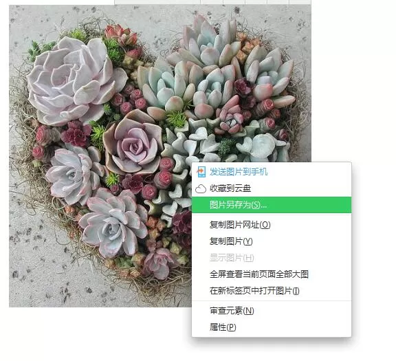 百度壁纸怎么保存到相册?百度壁纸保存到相册的方法