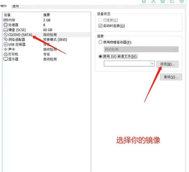 windows11如何安装虚拟器?windows11安装虚拟器的方法步骤