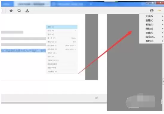 稻壳阅读器如何开启双页模式和书本模式?稻壳阅读器开启双页模式和书本模式的方法