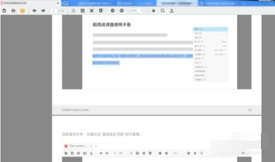 稻壳阅读器如何开启双页模式和书本模式?稻壳阅读器开启双页模式和书本模式的方法