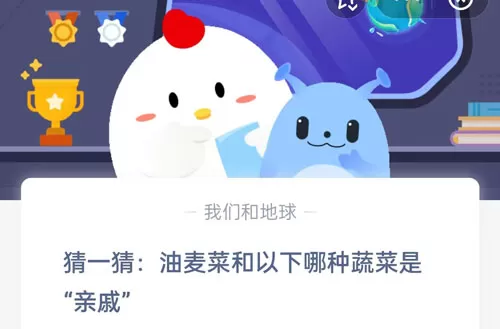 猜一猜:油麦菜和以下哪种蔬菜是“亲戚”?支付宝蚂蚁庄园5月24日答案