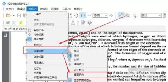 知云文献翻译如何两窗口显示文献?知云文献翻译两窗口显示文献的方法
